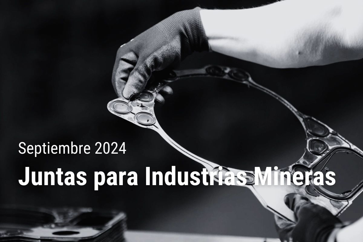 Juntas para Industrias Mineras – Septiembre 2024